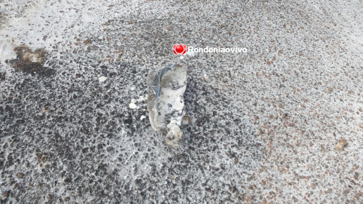 ASSISTA: PC tenta prender bandido que incendiou viatura no Departamento de Flagrantes