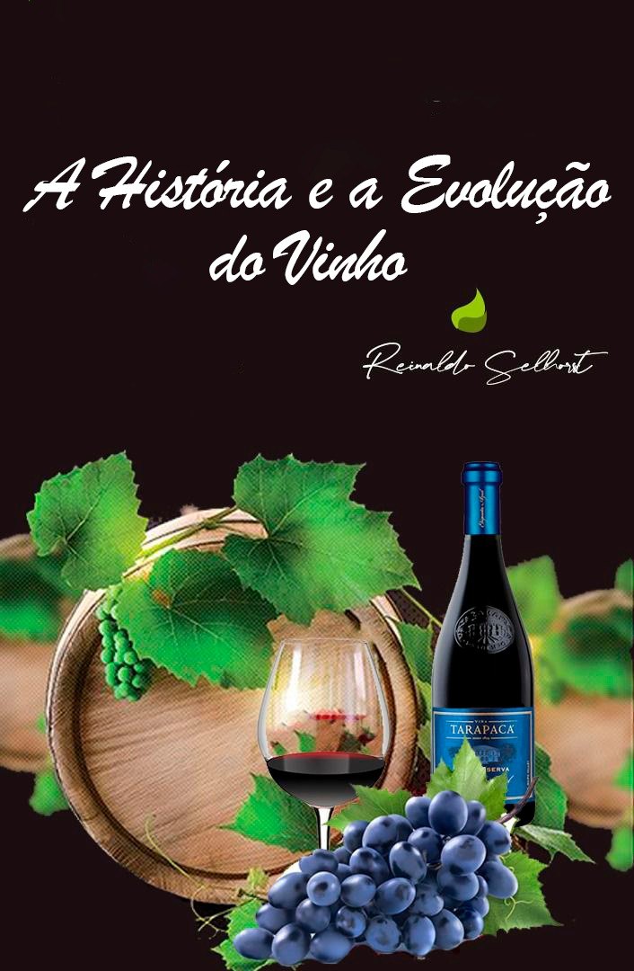 Vinícola Doluca da Turquia - Por Reinaldo Selhorst
