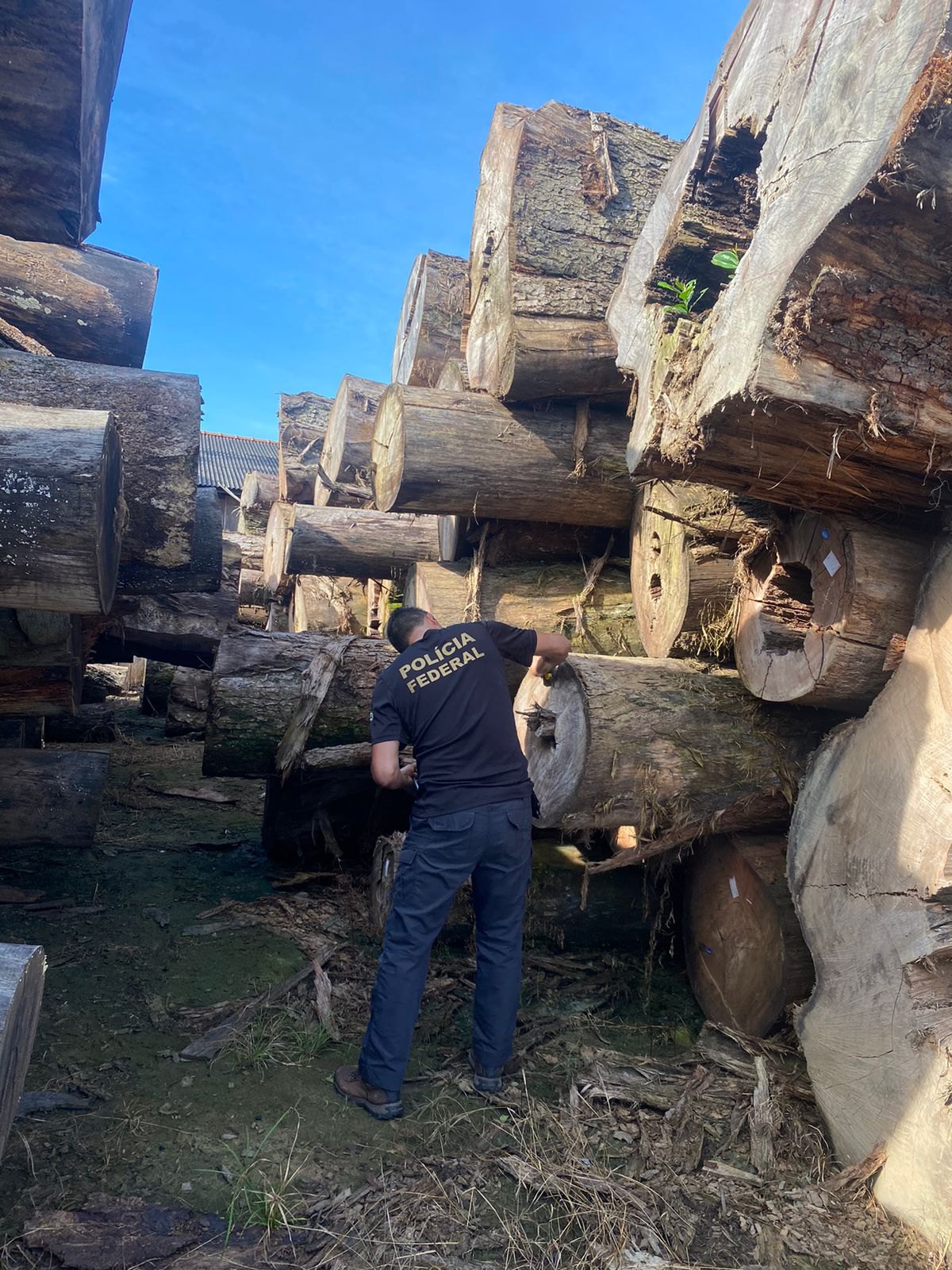 AÇÃO: PF realiza operação para retirada de invasores da Terra Indígena Karipuna