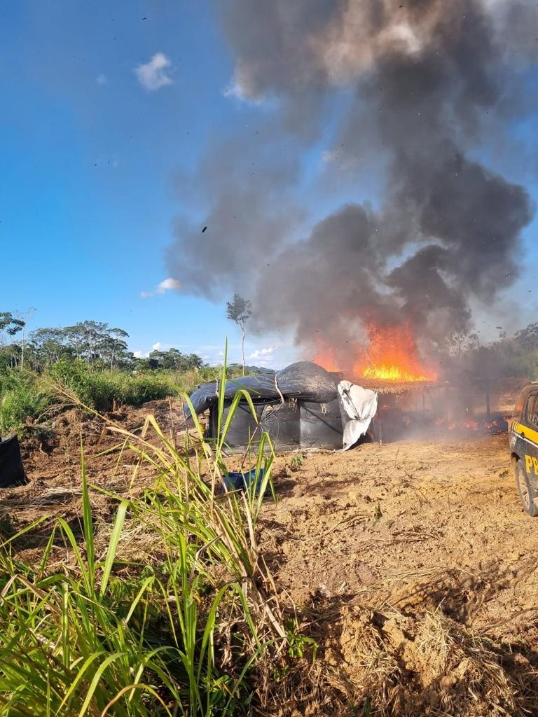 URU PRAESIDIUM: PF realiza operação para combater ações ilegais em terra indígena