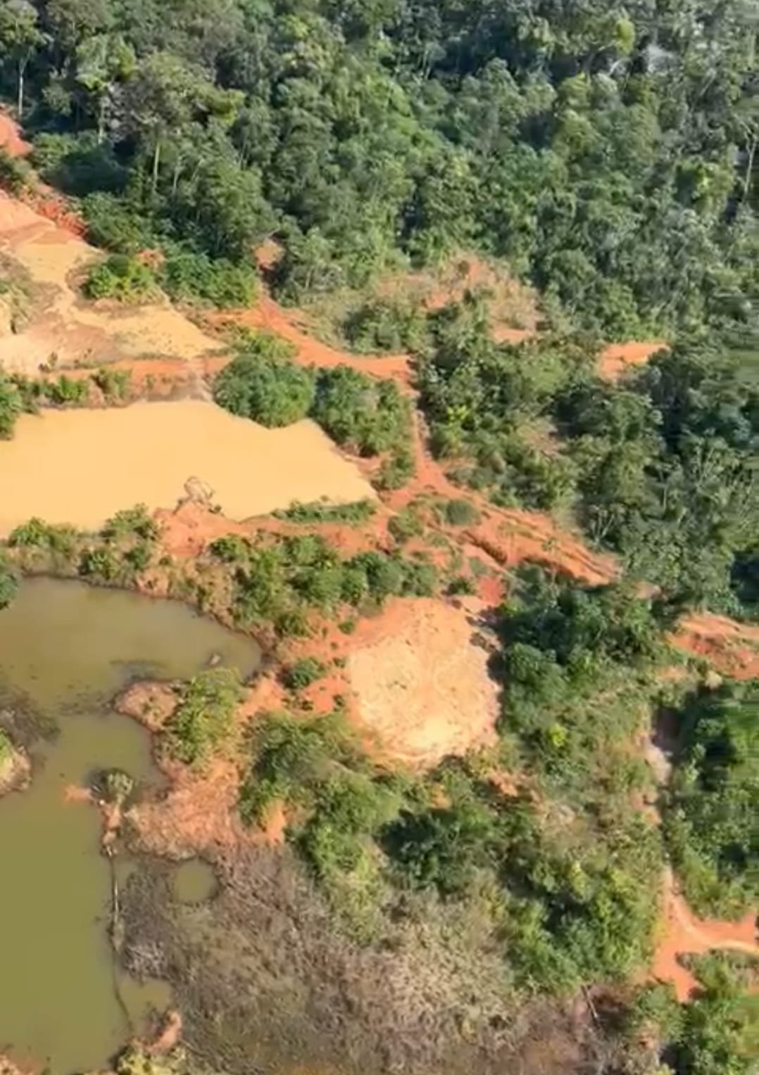 DIAMANTES: PF desmonta bando que atua nas Reservas Indígenas Roosevelt e Parque Aripuanã