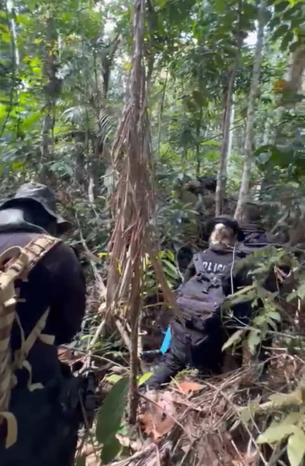 DIAMANTES: PF desmonta bando que atua nas Reservas Indígenas Roosevelt e Parque Aripuanã