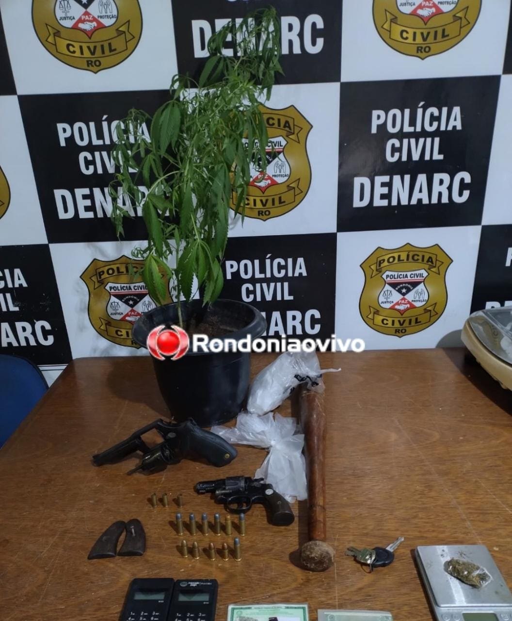 NO CONDOMÍNIO: Denarc prende membros de grupo criminoso com drogas, armas e muda de maconha