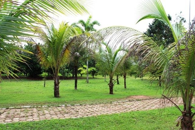 CHÁCARA: Vendo um sonho de 10 anos, local lindo e produtivo