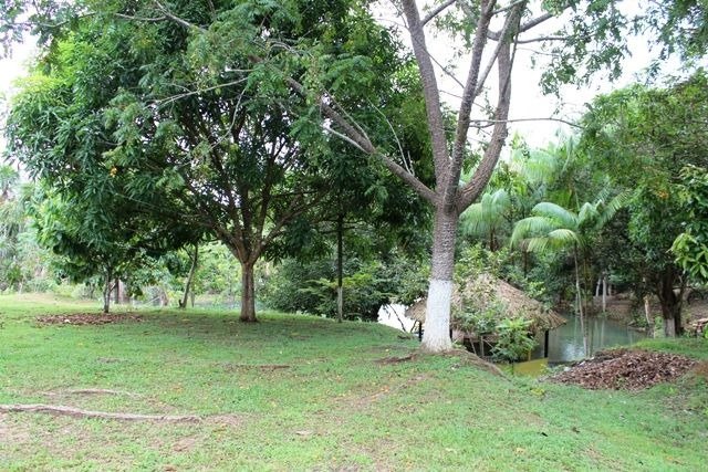 CHÁCARA: Vendo um sonho de 10 anos, local lindo e produtivo