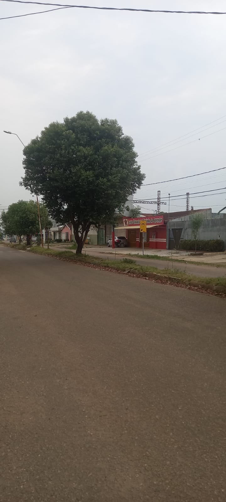 EDWILSON NEGREIROS: Prefeitura atende ao pedido de vereador e realiza poda de árvore na capital