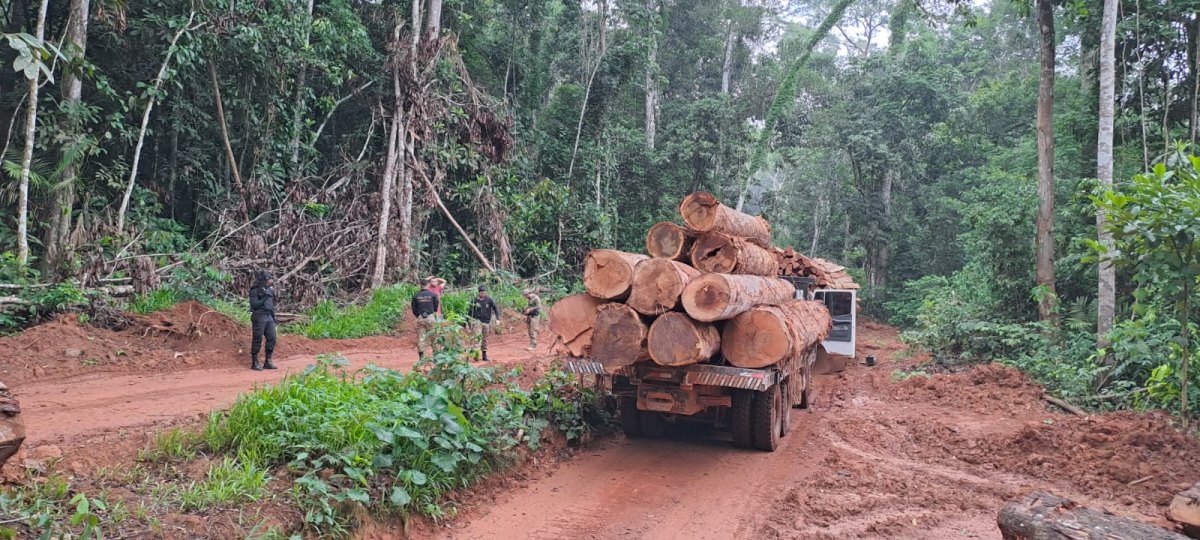 TERRAS INDÍGENAS: PF RO deflagra operação para combater garimpo e extração ilegal de madeira