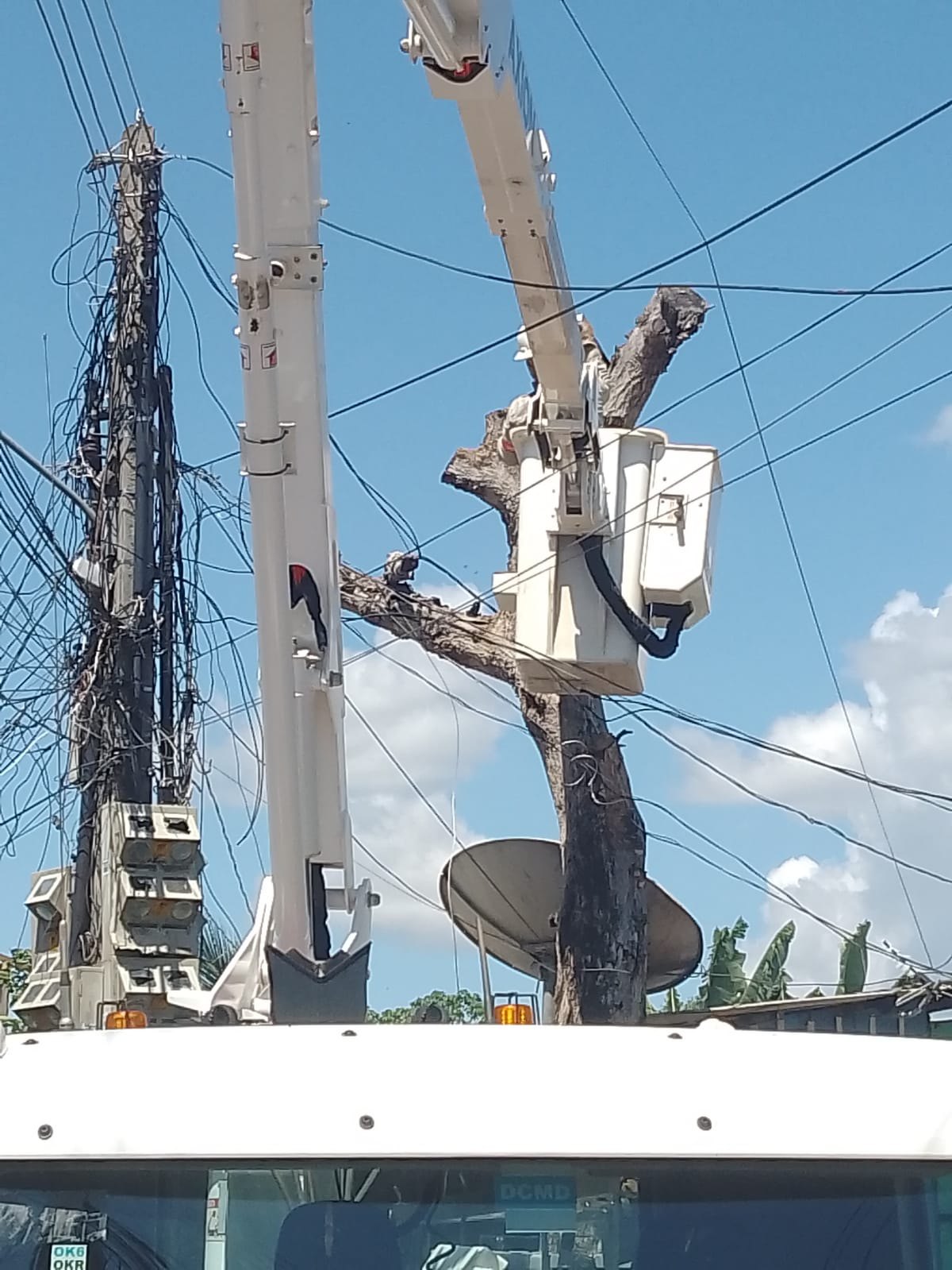 EDWILSON NEGREIROS: Energisa retira galhos de árvore em rede elétrica de bairro a pedido de vereador