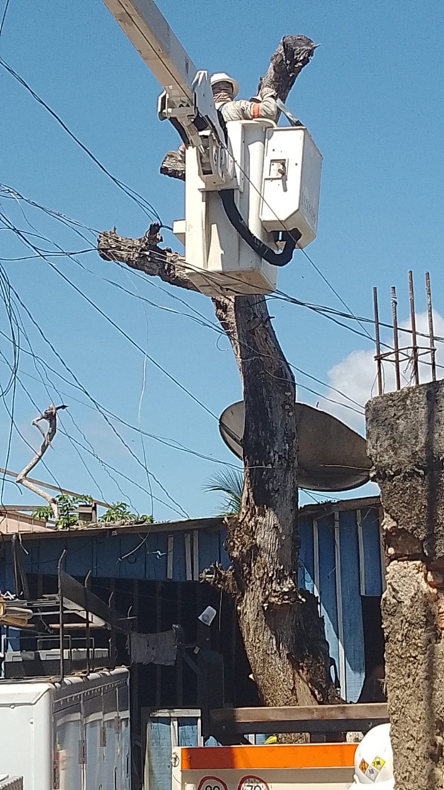 EDWILSON NEGREIROS: Energisa retira galhos de árvore em rede elétrica de bairro a pedido de vereador
