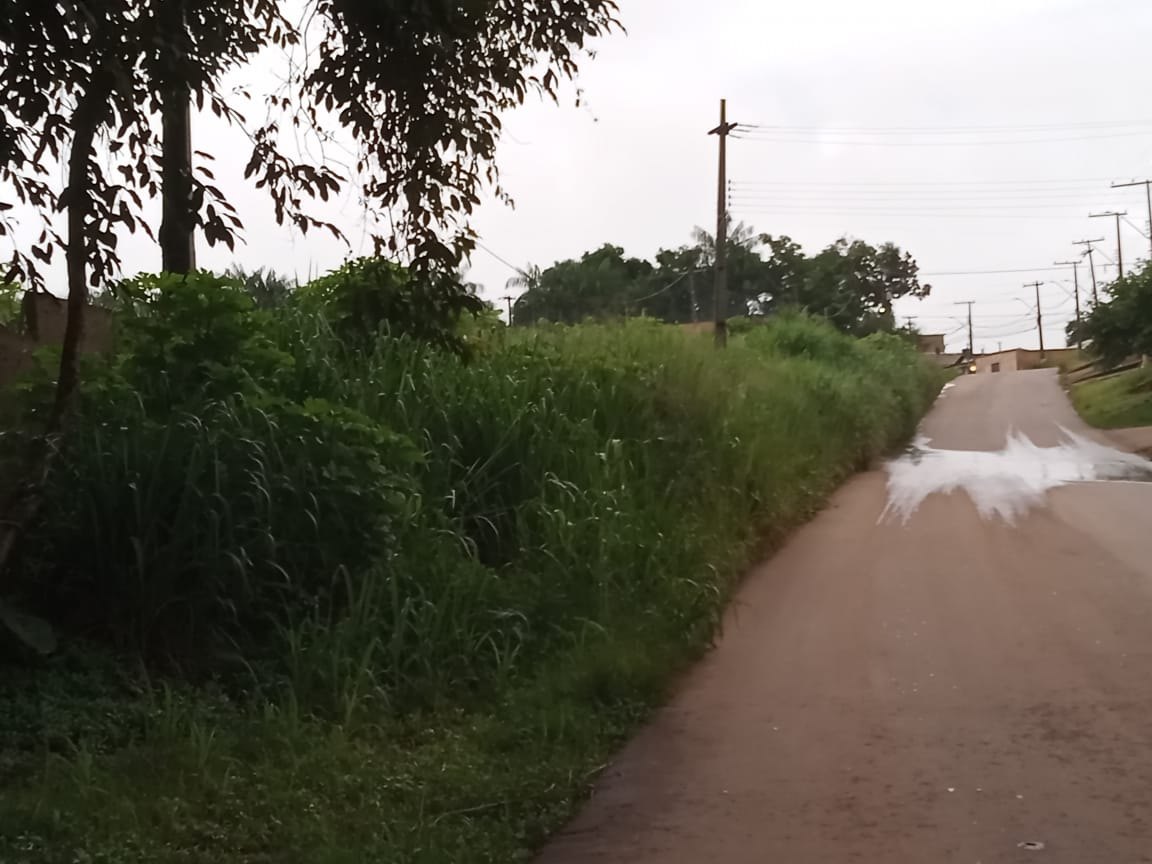 SUFOCO: Mato e falta de acostamento colocam população em risco na estrada da Coca-Cola