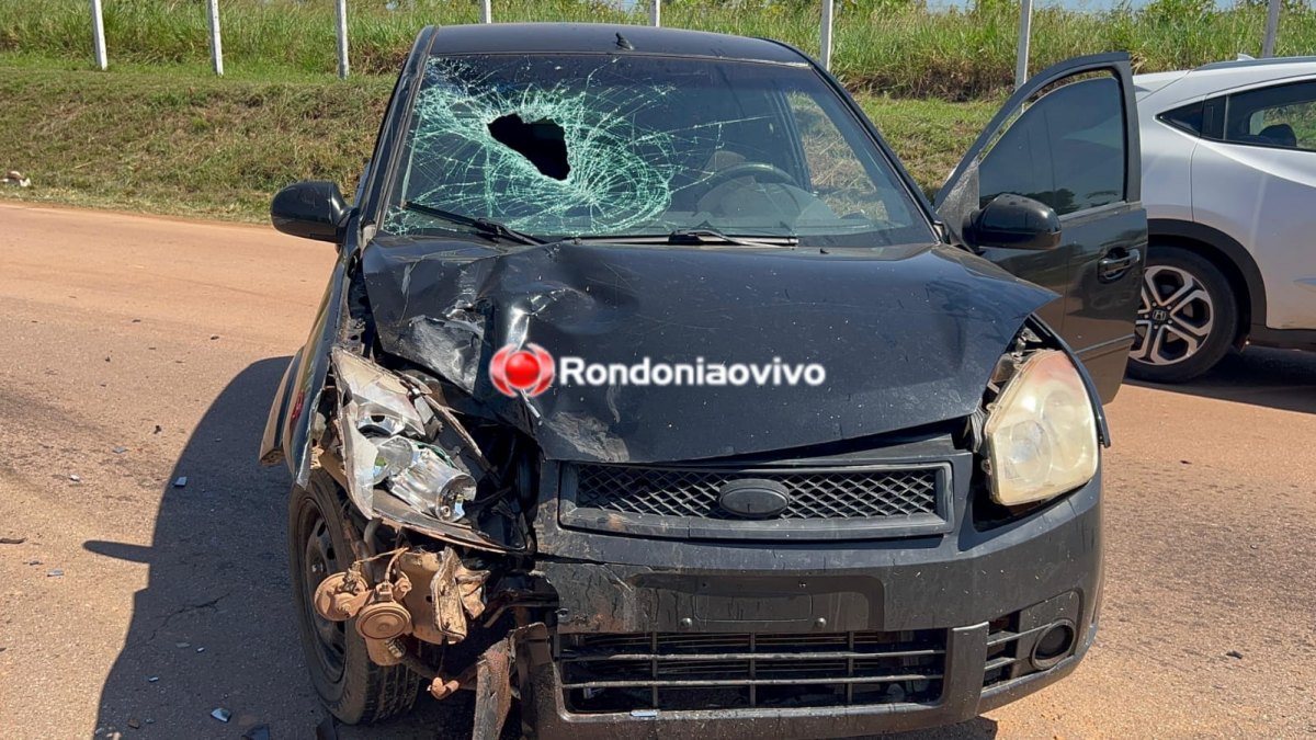 ESTRADA DA PENAL: Motociclista é intubado após grave acidente causado por motorista embriagado 