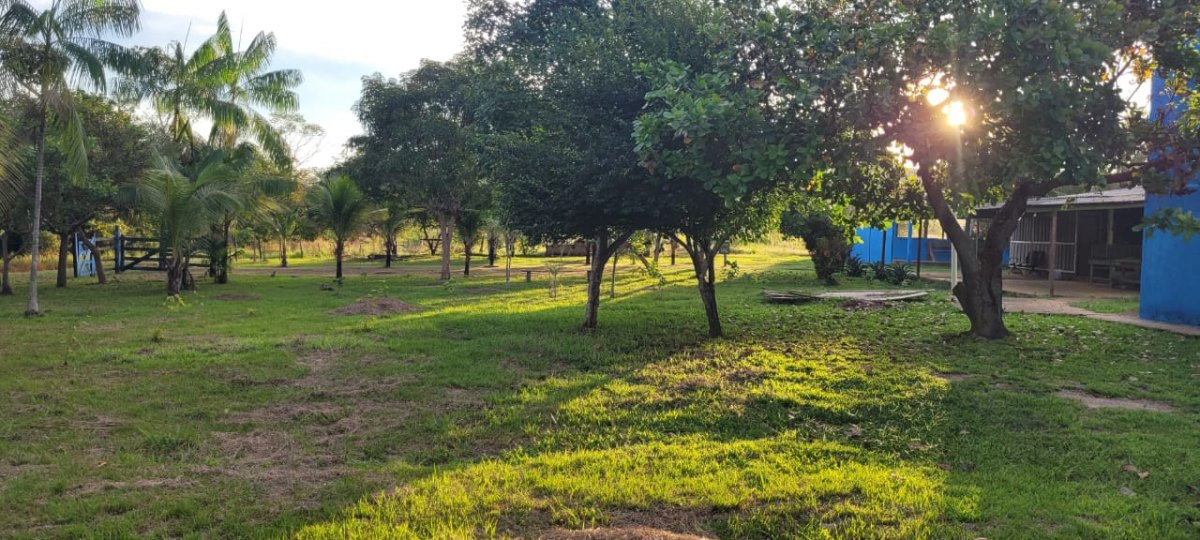 ESPECIAL: Conheça Centro Terapêutico que vem salvando porto velhenses do vício das drogas