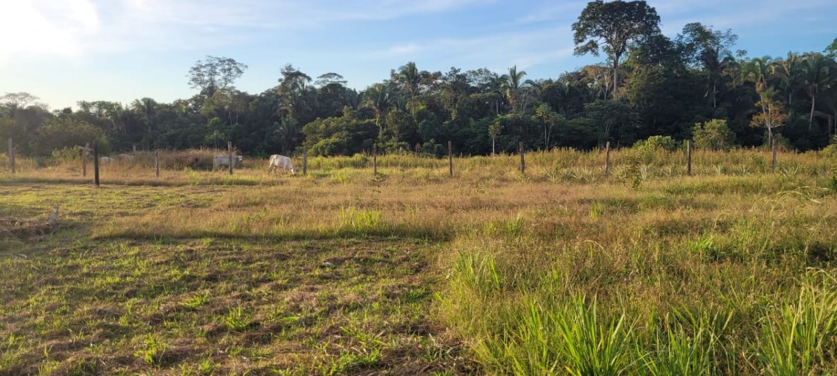 ESPECIAL: Conheça Centro Terapêutico que vem salvando porto velhenses do vício das drogas