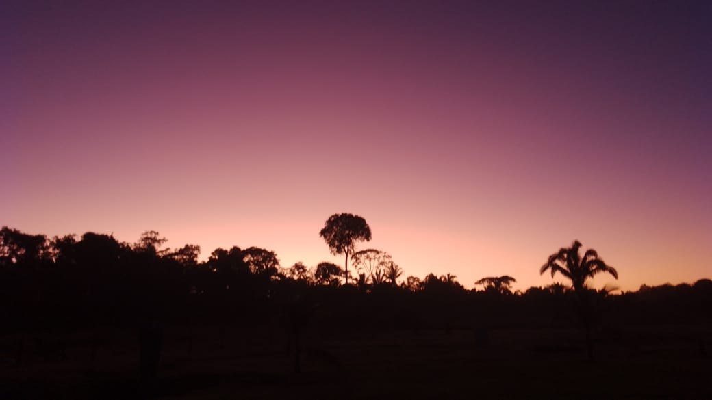 ESPECIAL: Conheça Centro Terapêutico que vem salvando porto velhenses do vício das drogas
