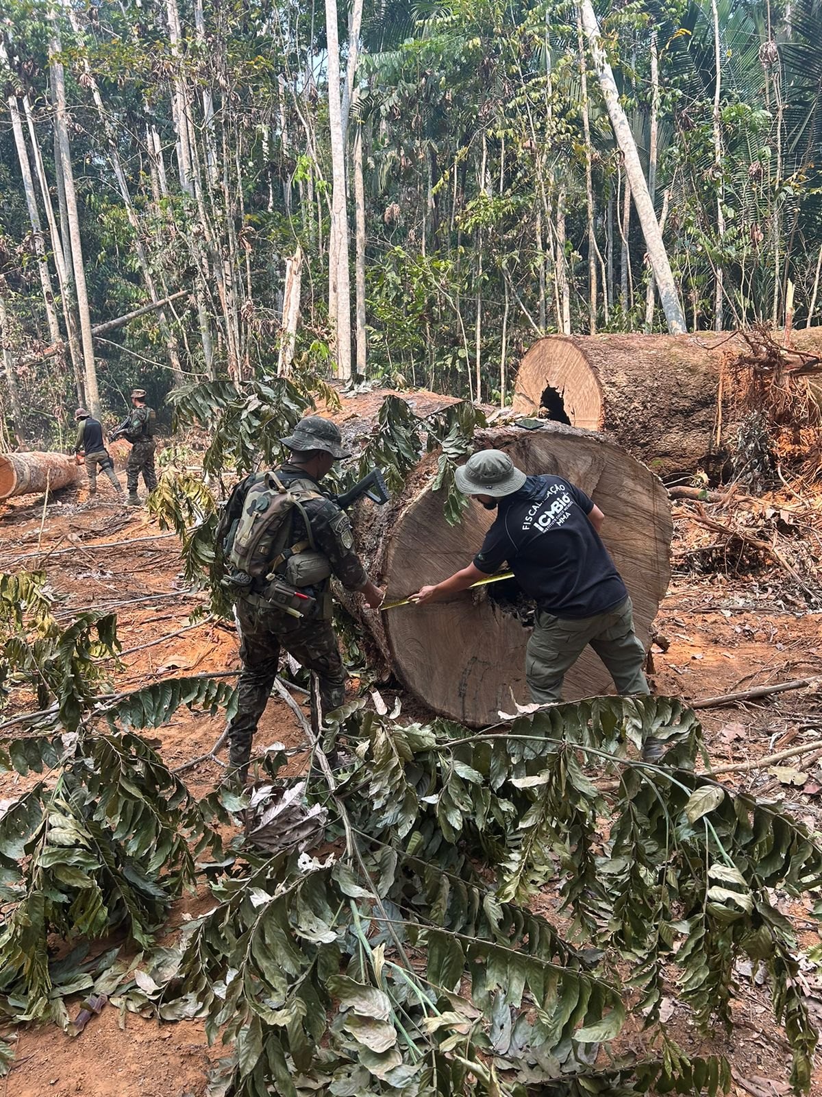CURARETINGA IV: Multas e apreensões chegam ao valor de mais de R$ 21 milhões