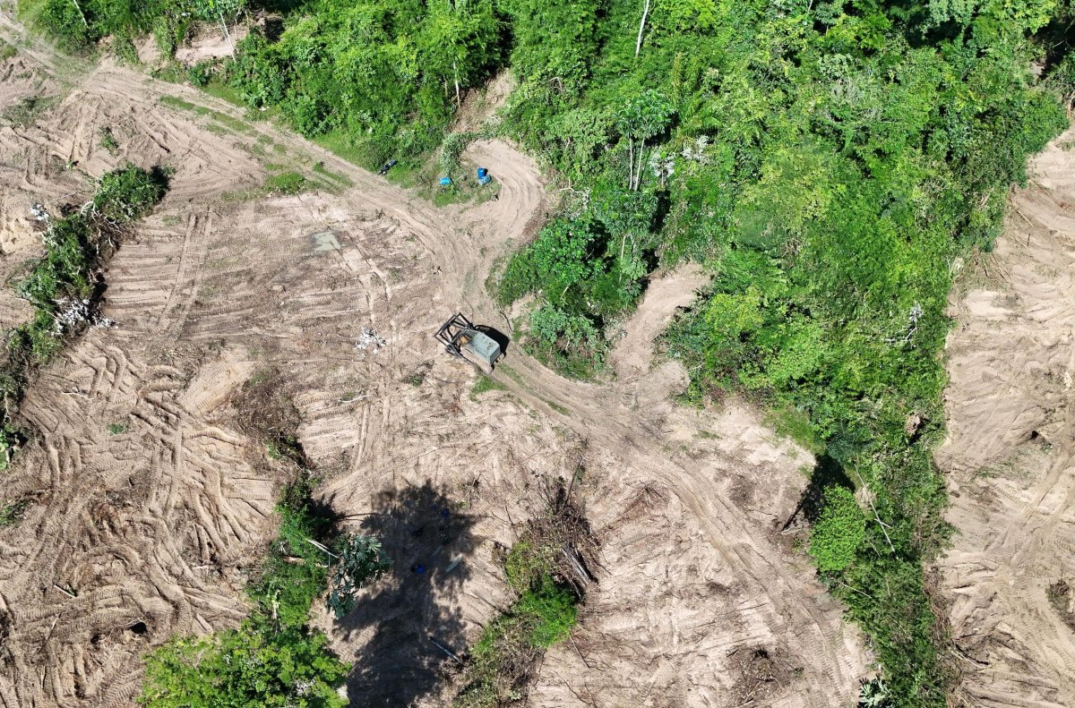 OPERAÇÃO HILEIA: Governador Marcos Rocha reforça compromisso com a preservação ambiental 