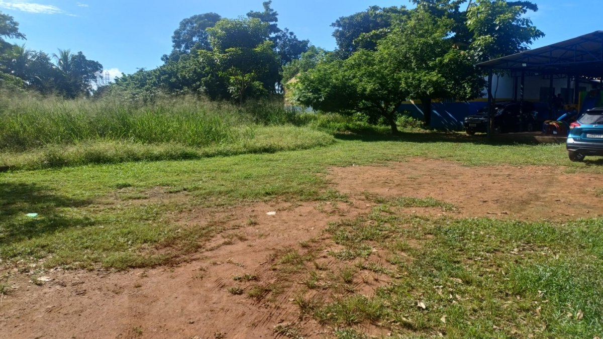 CRIANÇAS: Mato domina área da Escola João Afro Vieira, na Vila Princesa, na capital