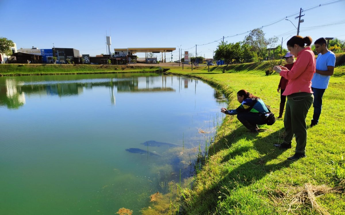 PRODUÇÃO SUSTENTÁVEL: Rondônia avança com certificação Sisbi para indústria de pescados