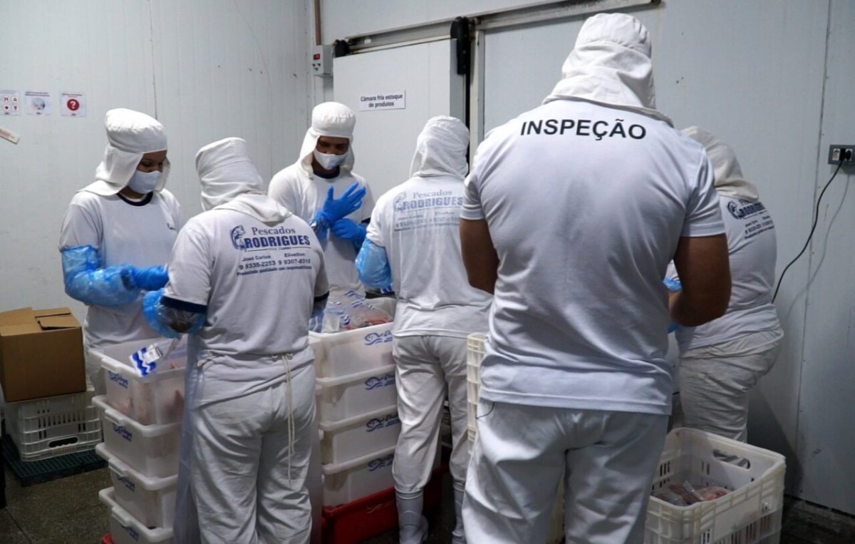 PRODUÇÃO SUSTENTÁVEL: Rondônia avança com certificação Sisbi para indústria de pescados