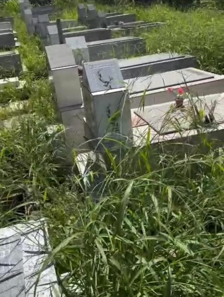 PEDIDO DE PROVIDÊNCIA: Cemitério Santo Antônio é tomado pelo mato em Porto Velho