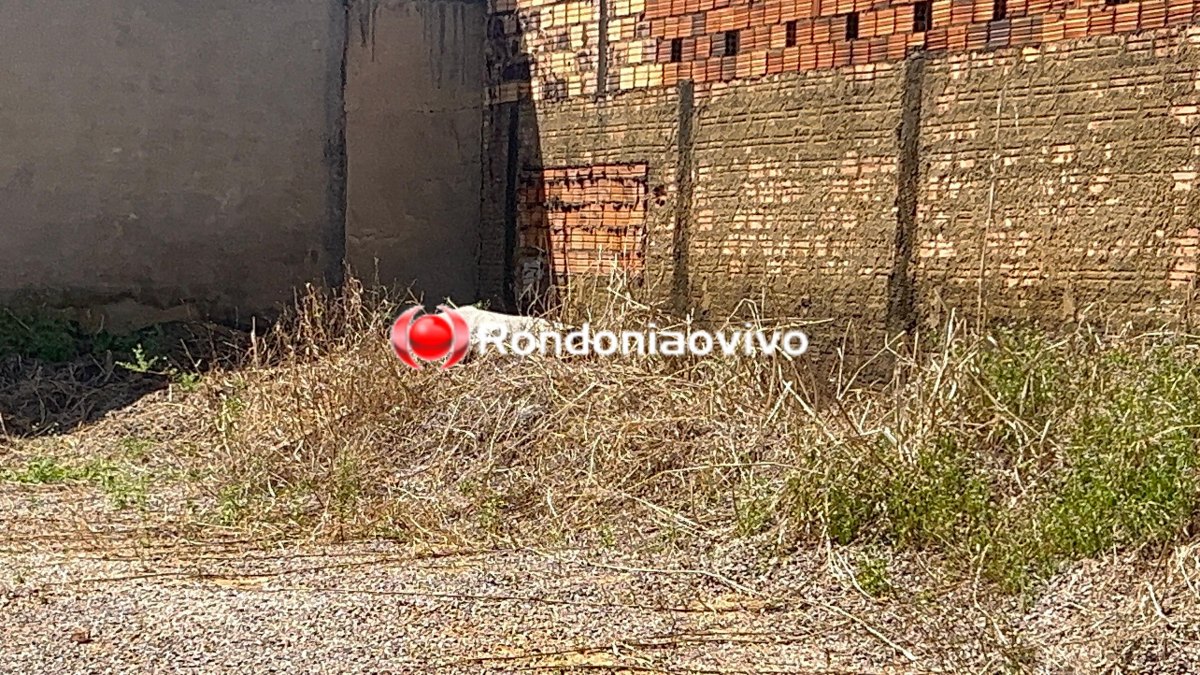 URGENTE: Corpo é encontrado em terreno baldio na capital