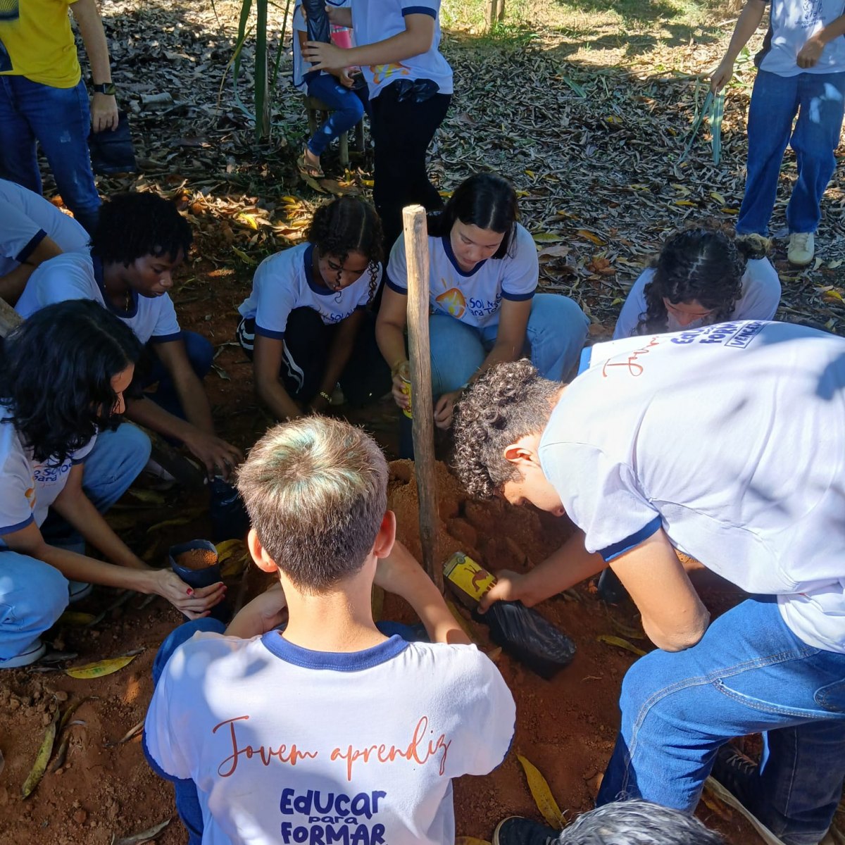 MEIO AMBIENTE: Comunidade do Assentamento Madre Cristina une forças em ação ambiental coletiva