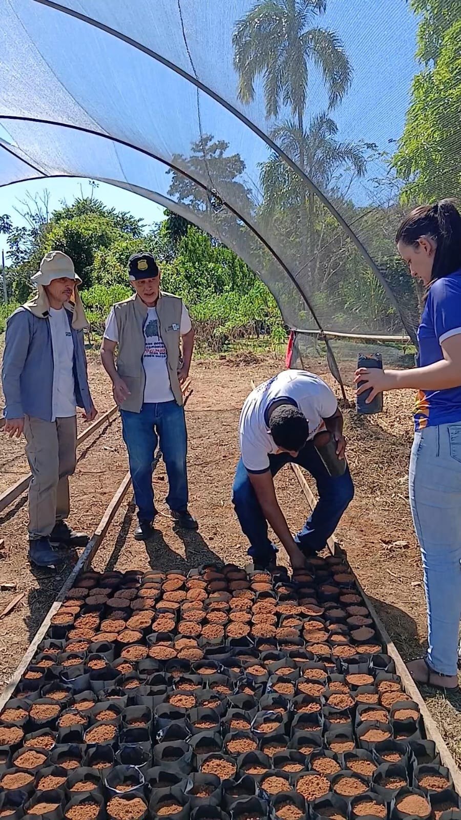 MEIO AMBIENTE: Comunidade do Assentamento Madre Cristina une forças em ação ambiental coletiva