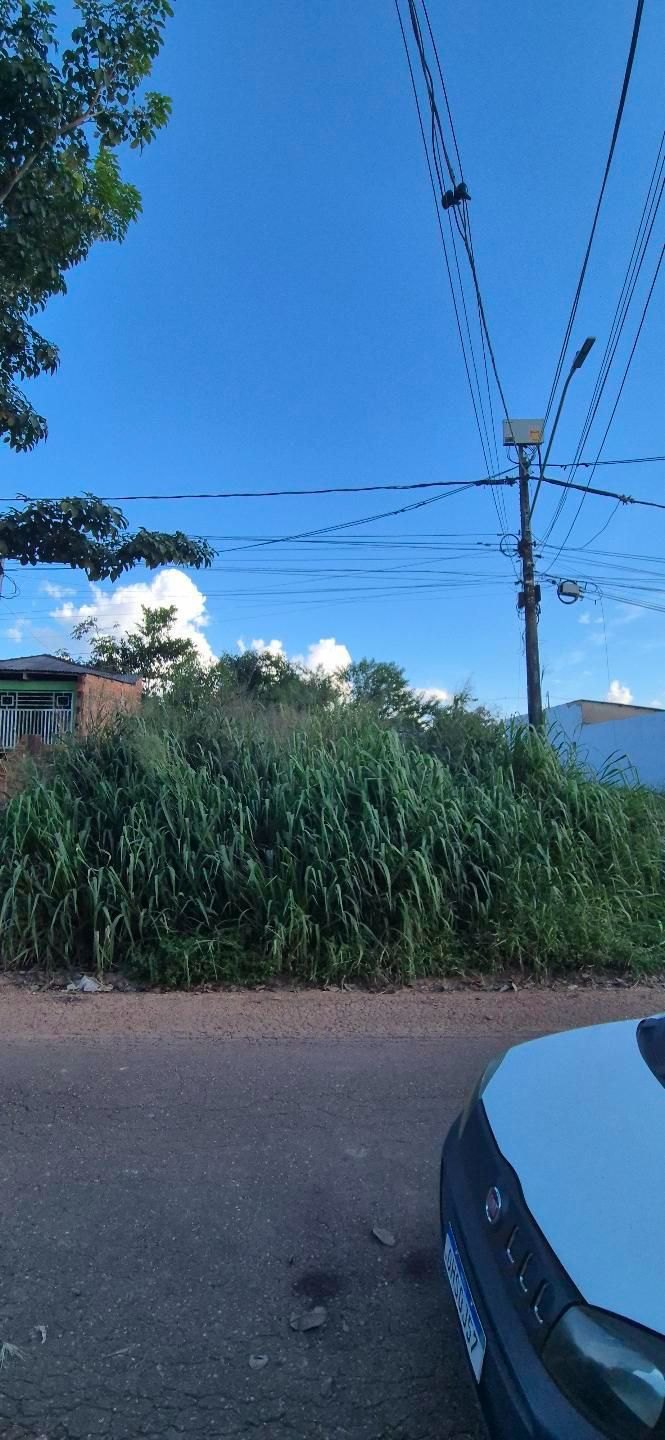 PEDIDO DE PROVIDÊNCIA:  Moradora denuncia matagal alto em terreno no bairro Aeroclube