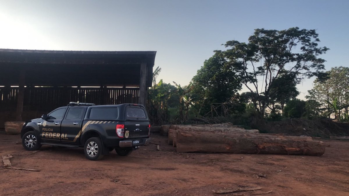 OPERAÇÃO PF:  PF combate exploração ilegal de madeira em terras indígenas em Rondônia