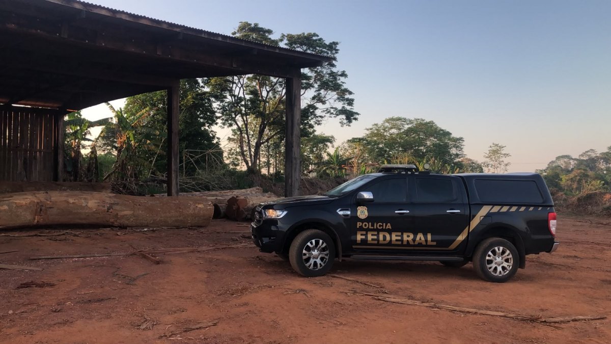 OPERAÇÃO PF:  PF combate exploração ilegal de madeira em terras indígenas em Rondônia