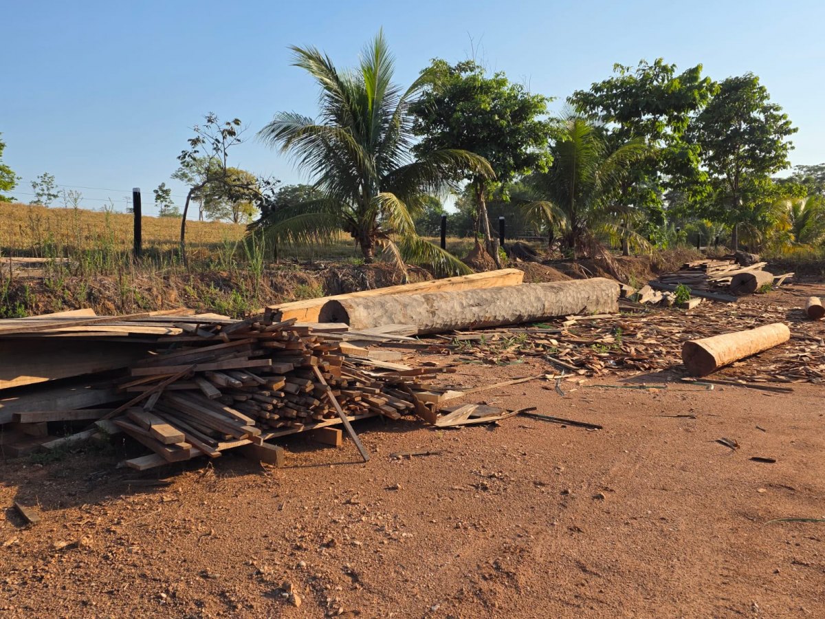 OPERAÇÃO PF:  PF combate exploração ilegal de madeira em terras indígenas em Rondônia