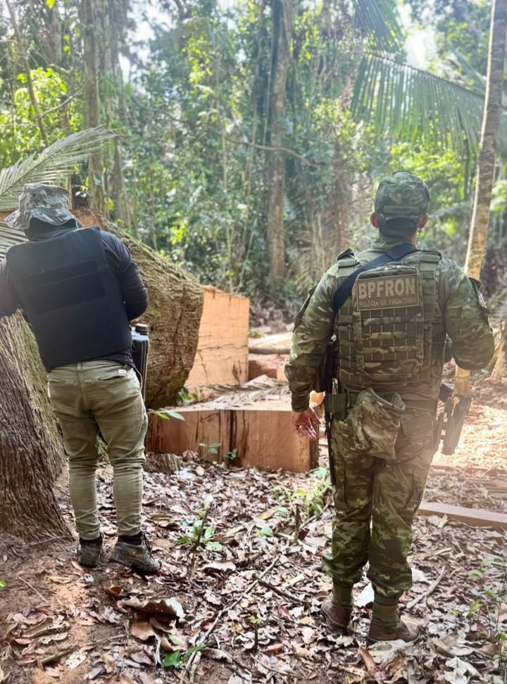 IGARAPÉ LAGE: PF combate extração ilegal de madeira em terra indígena de Rondônia