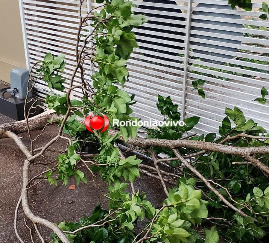 VÍDEO: Forte chuva com ventania causa estragos na zona Sul da capital