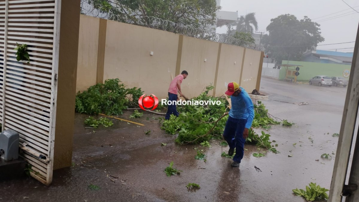 VÍDEO: Forte chuva com ventania causa estragos na zona Sul da capital