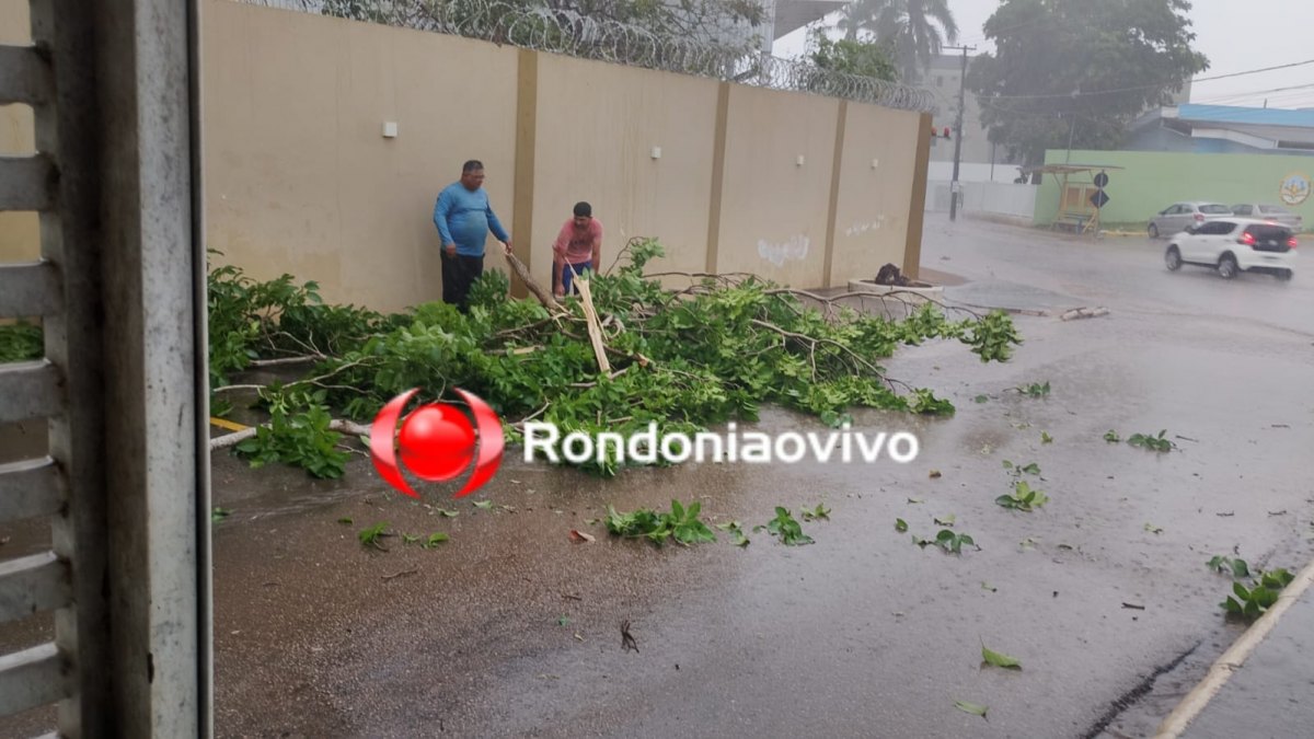 VÍDEO: Forte chuva com ventania causa estragos na zona Sul da capital