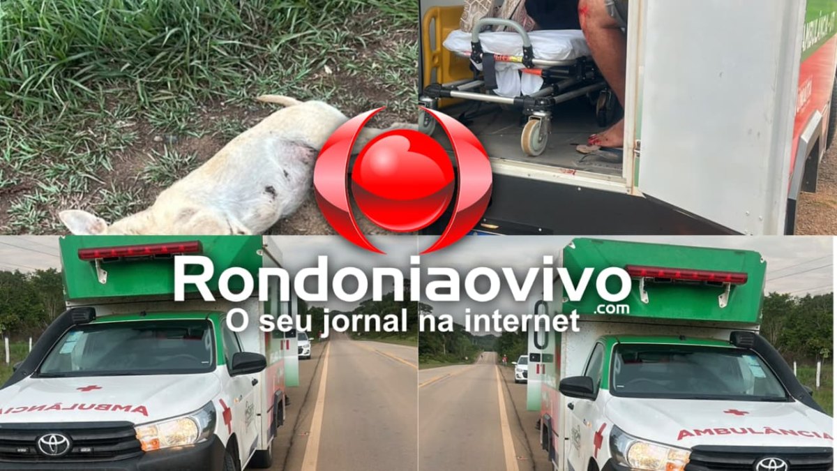 URGENTE: Motociclista fica gravemente ferido após atropelar cachorro na BR-319