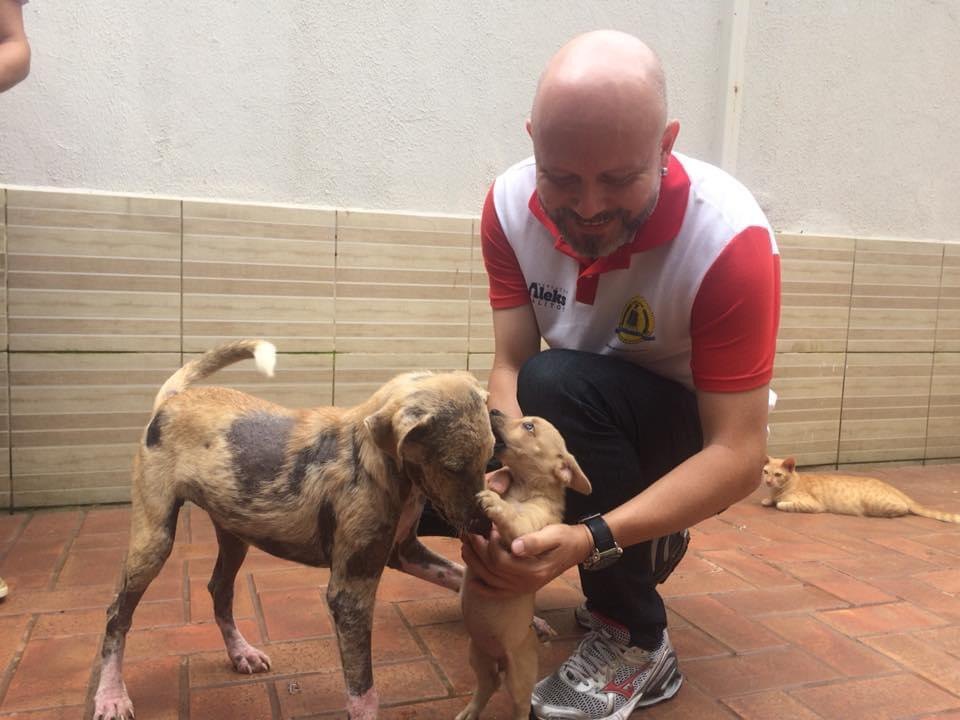 BOA AÇÃO: Vereador Aleks Palitot entrega ração para ONG animal