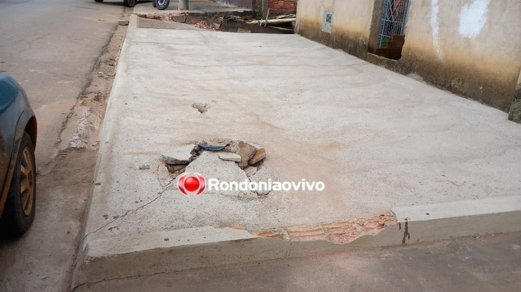 ASSISTA: Gato atravessa avenida na capital e causa acidente com caminhonete