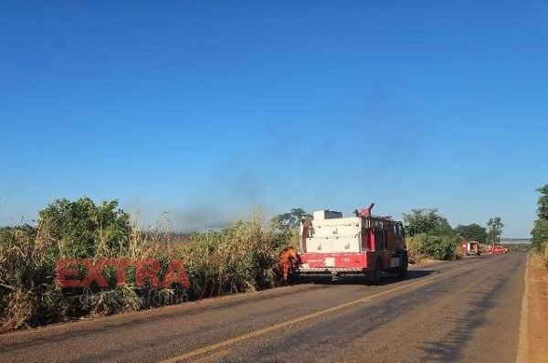 RESGATADOS: PRF revela que mãe, filho e um cão Rottweiler estavam no carro que pegou fogo