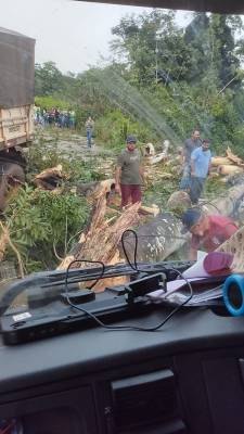 FOTOS E VÍDEOS: Árvore caída provoca acidente envolvendo caminhão e picape da prefeitura de Cerejeiras