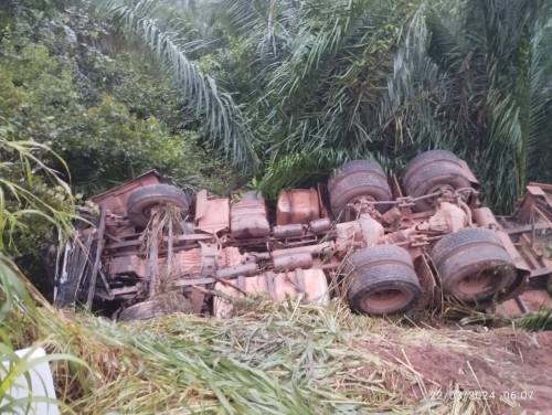 FOTOS E VÍDEOS: Árvore caída provoca acidente envolvendo caminhão e picape da prefeitura de Cerejeiras