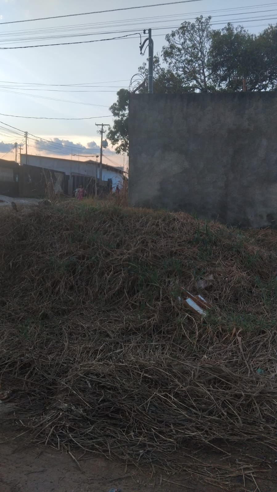 GEDEÃO NEGREIROS: Parlamentar solicita roçagem urgente em cruzamento crítico no bairro Novo Horizonte