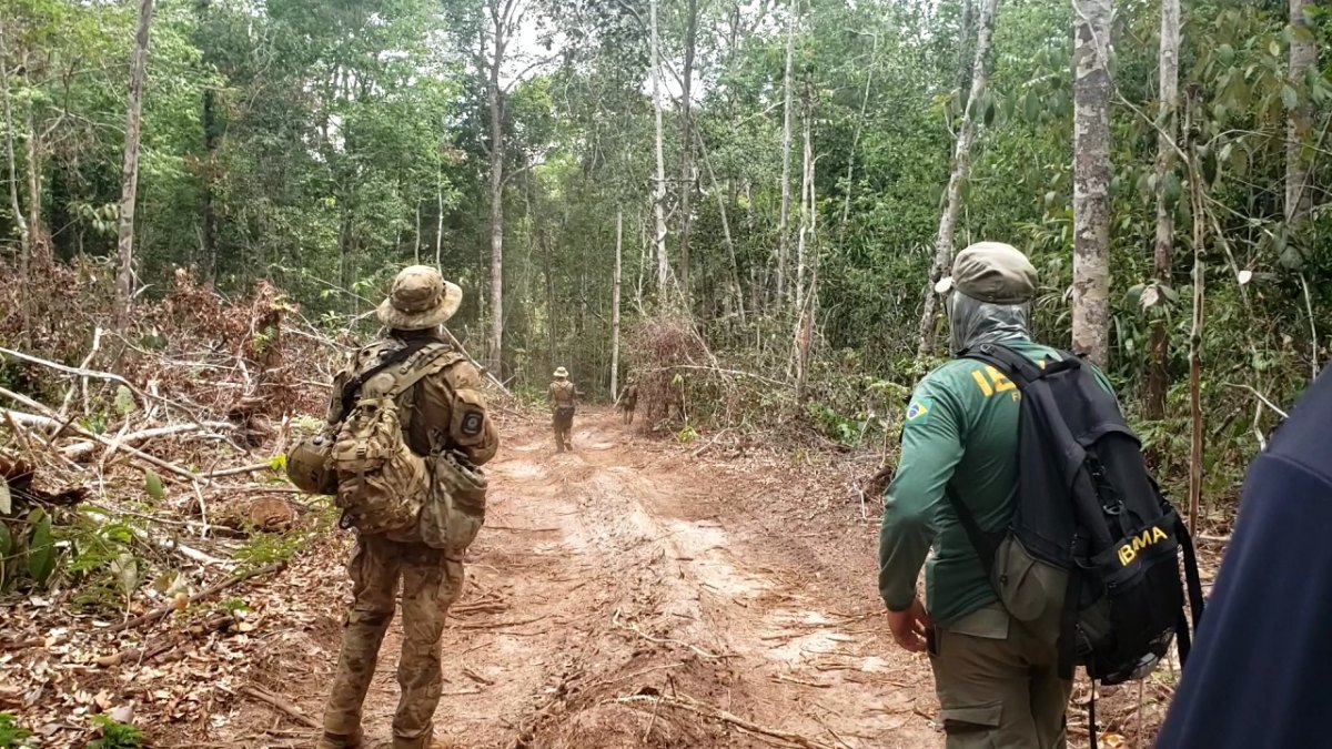  IRATUS: PF deflagra operação em combate a extração de madeira em terra indígena