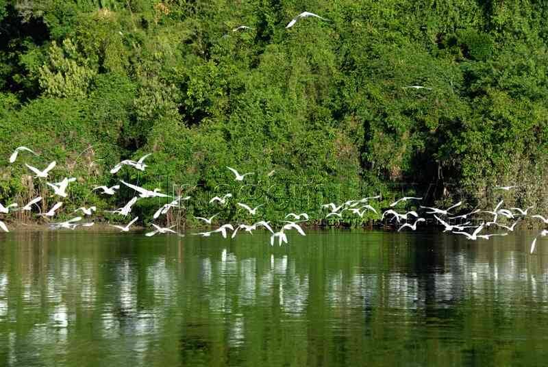 TURISMO: Conheça a comunidade do Lago do Cuniã, na zona rural de Porto Velho