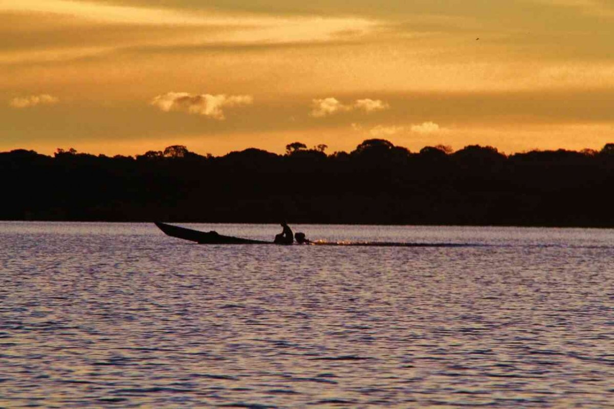 TURISMO: Conheça a comunidade do Lago do Cuniã, na zona rural de Porto Velho