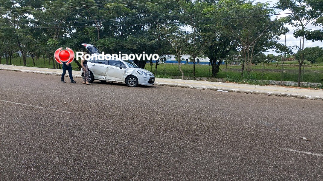 NA FRENTE DA PM: Mulher sobe canteiro central e bate em árvore para não matar motociclista