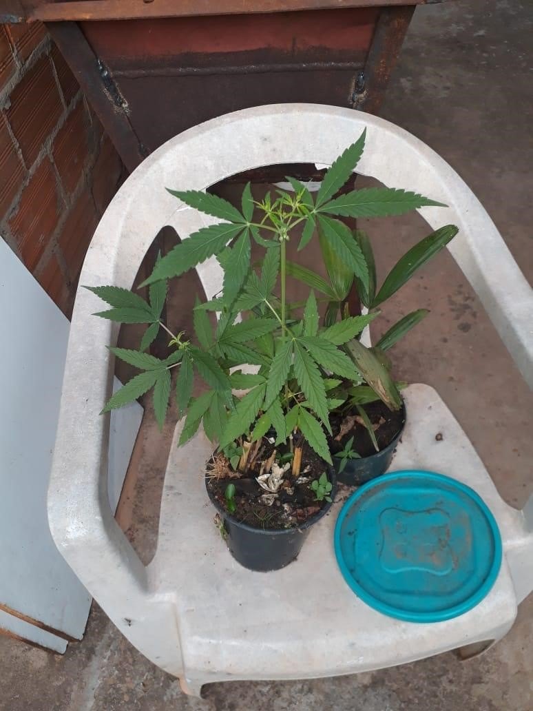 OPERAÇÃO LOCKDOWN: Polícia prende foragidos que tentavam receber o auxílio emergencial em RO