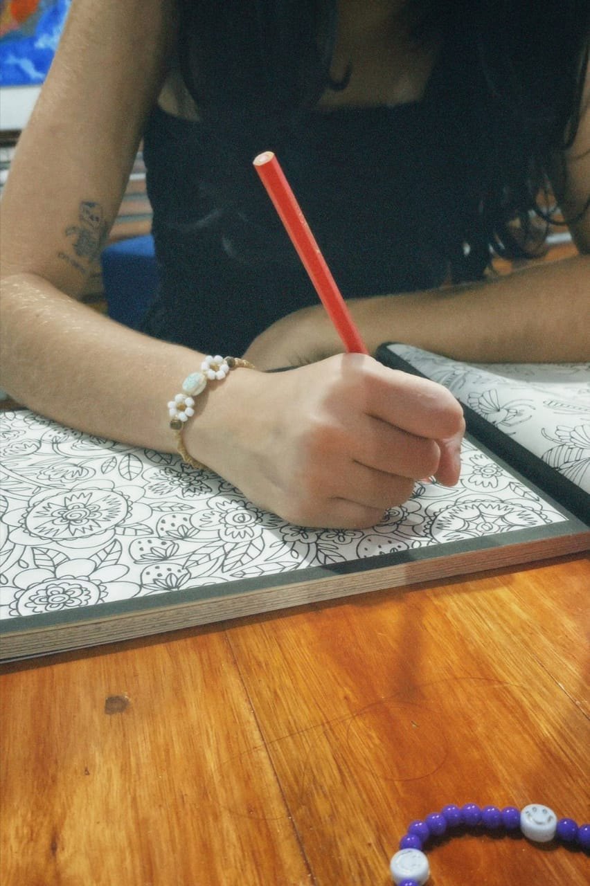 GALERIA: Artista plástica Eryle Aguiar leva arte e cultura à zona Leste de Porto Velho