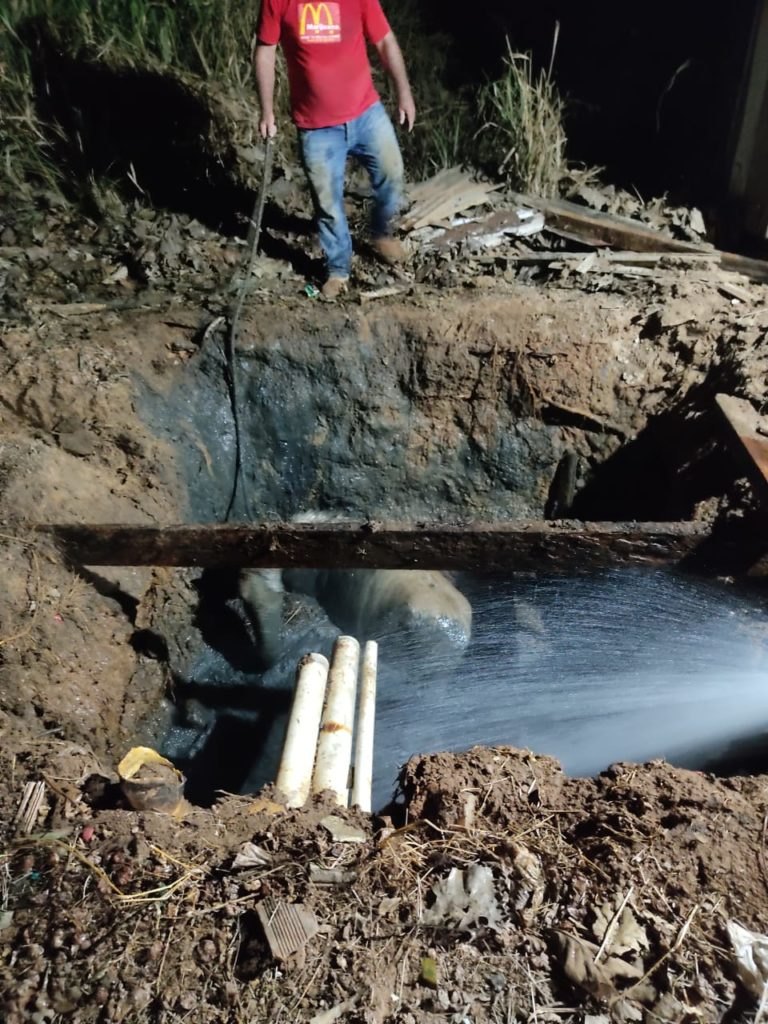ALÍVIO: Égua é resgatada pelo Corpo de Bombeiros após cair em fossa 