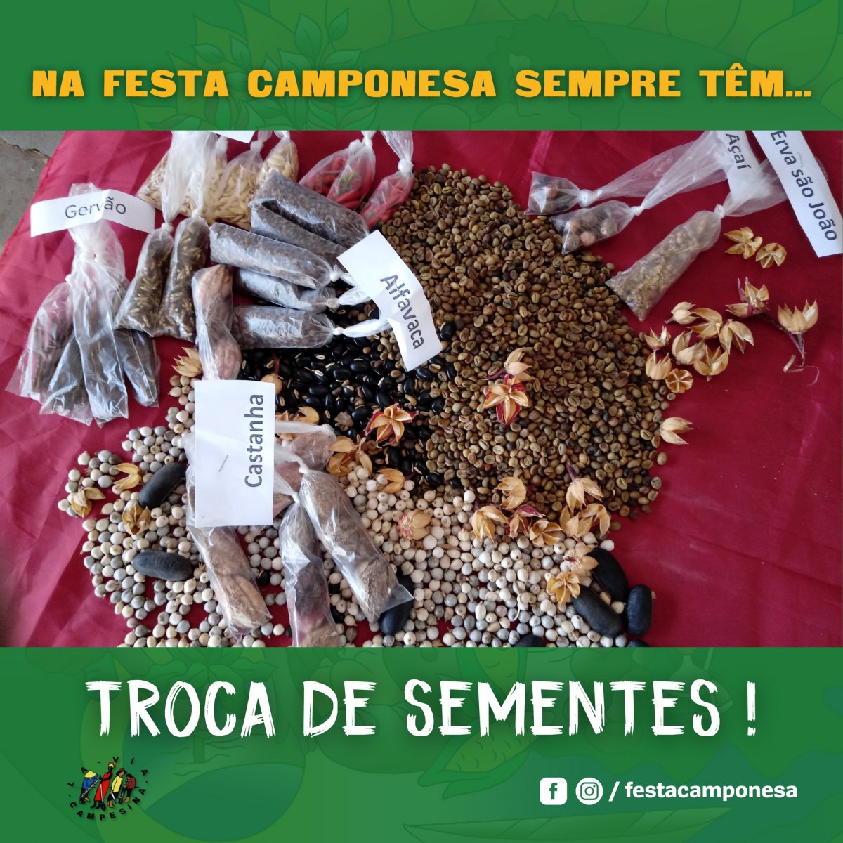 CULTURA: 7ª Festa Camponesa retorna em Rondônia no município de Jaru
